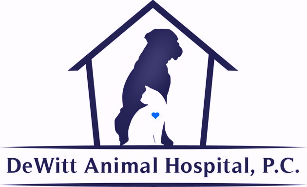 DeWitt Animal Hospital, P.C.